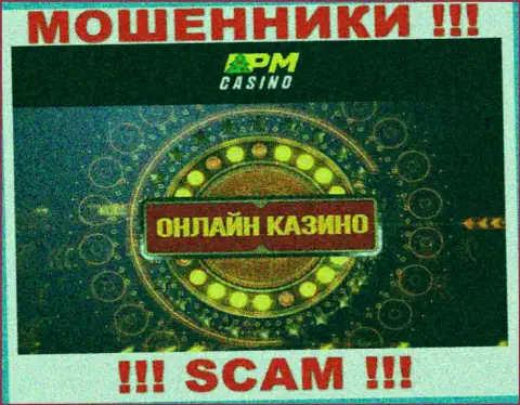 Тип деятельности internet-аферистов PM Casino - это Казино, но имейте ввиду это надувательство !!!