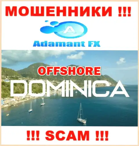 Adamant FX свободно грабят, потому что разместились на территории - Доминика
