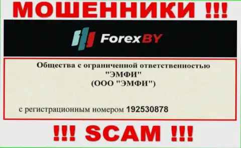 На интернет-сервисе мошенников Forex BY указан именно этот номер регистрации данной организации: 192530878
