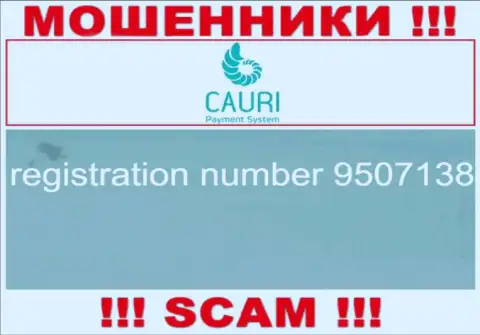 Регистрационный номер, который принадлежит жульнической организации Cauri Com: 9507138