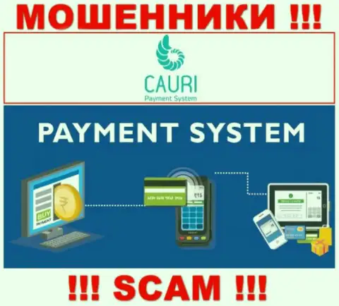 Мошенники Cauri, промышляя в сфере Payment system, оставляют без денег наивных людей