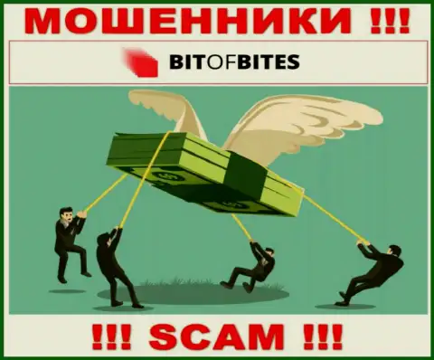 Не сотрудничайте с дилером Bitofbites Limited - не окажитесь еще одной жертвой их мошенничества