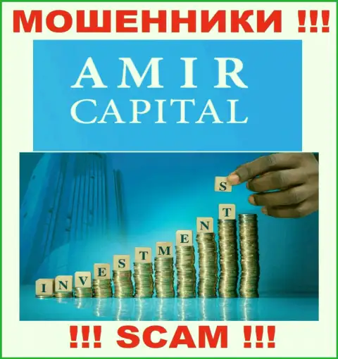 Не отдавайте денежные активы в Амир Капитал, сфера деятельности которых - Инвестирование