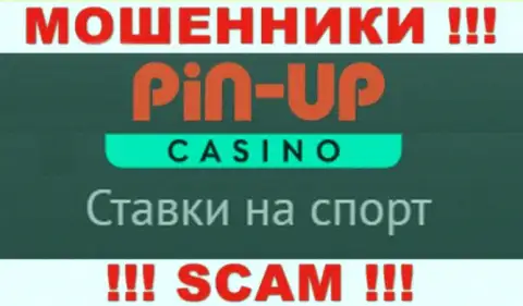 Основная работа Pin Up Casino - это Казино, будьте осторожны, действуют преступно