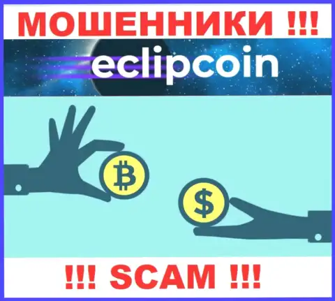 Совместно сотрудничать с EclipCoin довольно опасно, потому что их тип деятельности Криптовалютный обменник - это кидалово