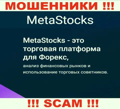FOREX - именно в этой области действуют хитрые мошенники Meta Stocks