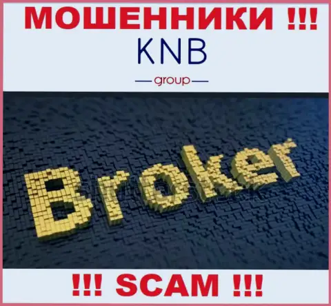 Тип деятельности незаконно действующей организации KNBGroup - это Broker