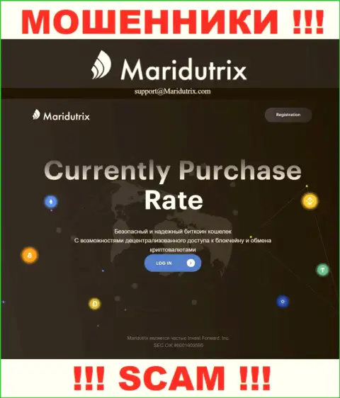 Официальный web-сайт Maridutrix это разводняк с привлекательной обложкой