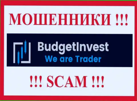 Budget Invest - это МОШЕННИКИ !!! Денежные средства не отдают обратно !!!