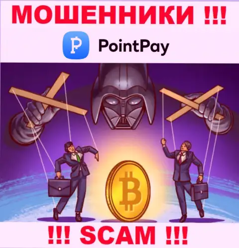 PointPay - это интернет-мошенники, которые подбивают наивных людей сотрудничать, в результате лишают денег