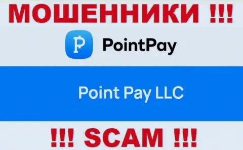 Компания ПоинтПей находится под крылом организации Point Pay LLC