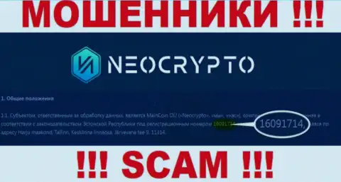 Номер регистрации Neo Crypto - сведения с официального сайта: 216091714