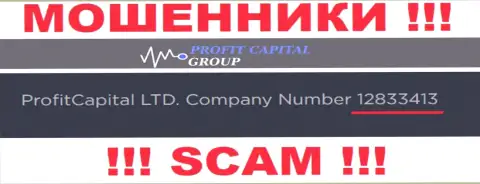 Номер регистрации Profit Capital Group, который предоставлен мошенниками на их сервисе: 12833413