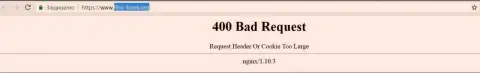 Официальный портал биржевого брокера Фибо Форекс несколько суток вне доступа и показывает - 400 Bad Request (неверный запрос)
