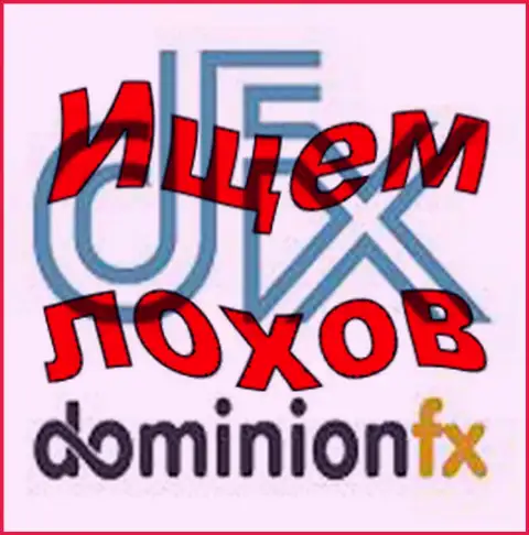 DominionFX Com - эмблема брокерской организации
