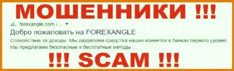 ForexAngle Ltd - это МОШЕННИКИ !!! SCAM !